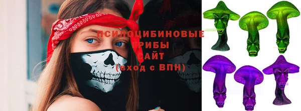 ПСИЛОЦИБИНОВЫЕ ГРИБЫ Магас