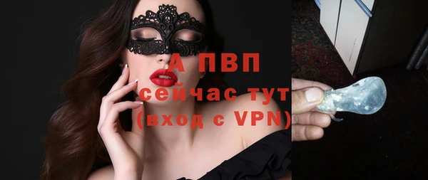 ПСИЛОЦИБИНОВЫЕ ГРИБЫ Магас