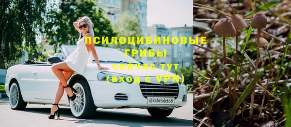 ПСИЛОЦИБИНОВЫЕ ГРИБЫ Магас