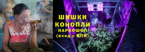 ПСИЛОЦИБИНОВЫЕ ГРИБЫ Магас