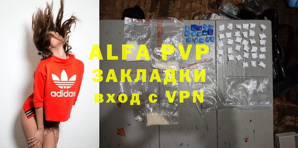 ПСИЛОЦИБИНОВЫЕ ГРИБЫ Магас