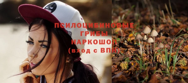 ПСИЛОЦИБИНОВЫЕ ГРИБЫ Магас