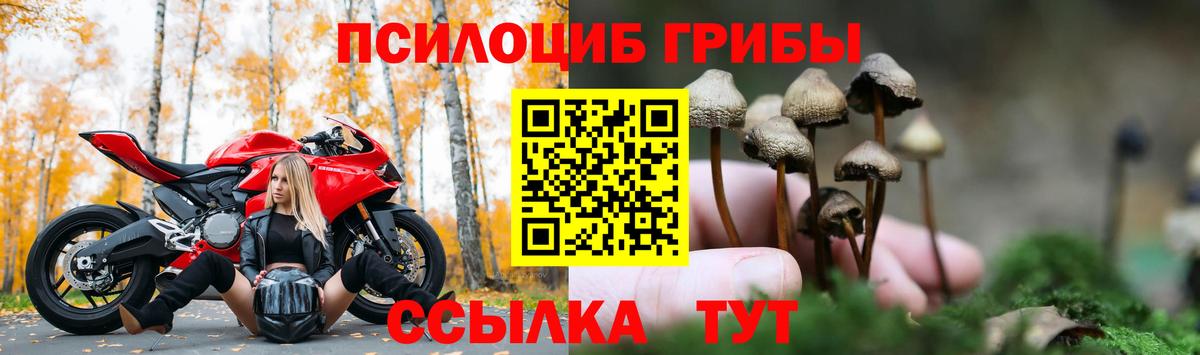 Псилоцибиновые грибы GOLDEN TEACHER Лесосибирск
