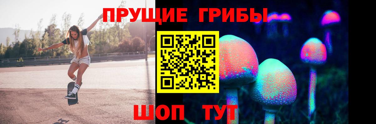 Лесосибирск  Псилоцибиновые грибы MAGIC MUSHROOMS  Вход с VPN 